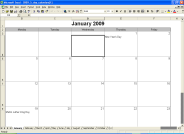 Excel 5-Day Calendar