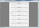 Excel 6-Month Calendar