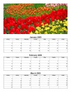 Quarterly Photo Calendar